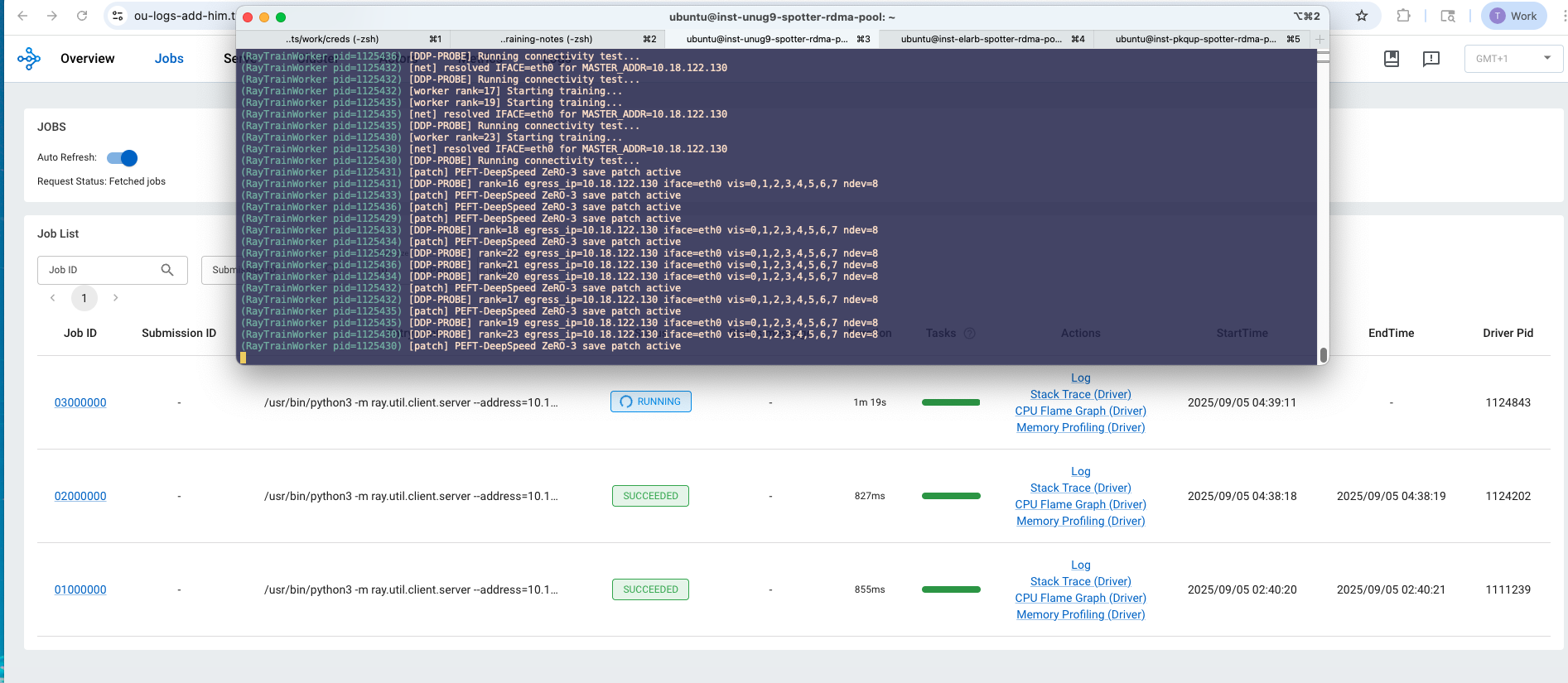 Ray training start 2